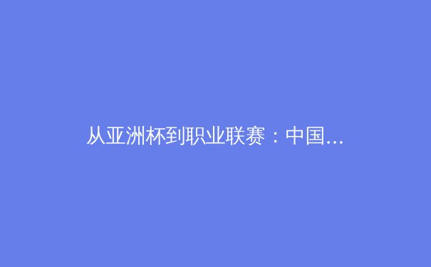 从亚洲杯到职业联赛：中国体育产业的结构性变革与未来挑战 - 4